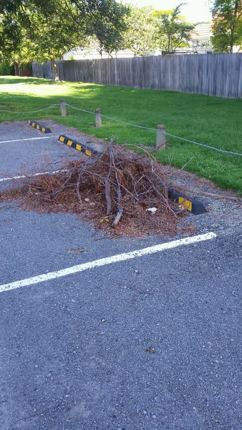 Rubbish/Recycling, a report photo