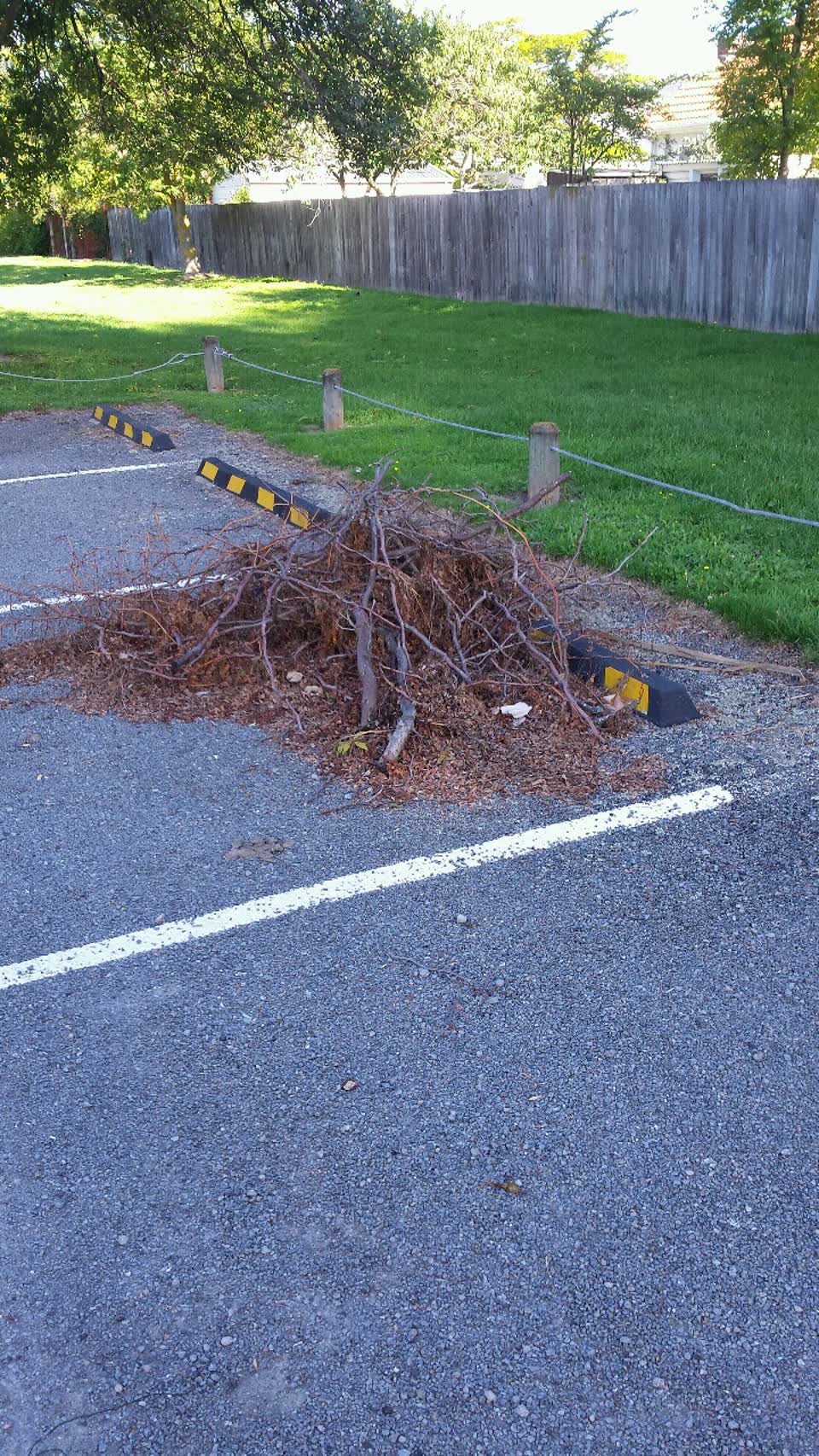The photograph attached to this rubbish/recycling report