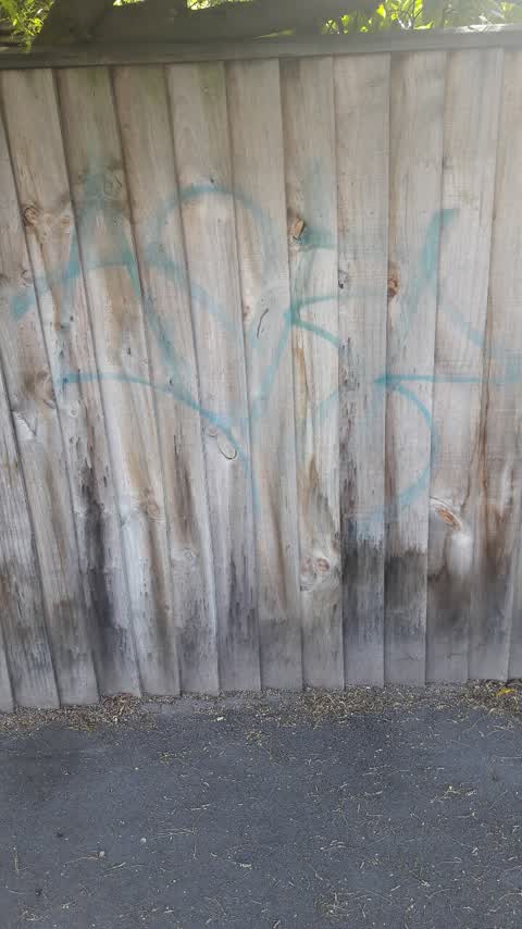 Graffiti, a report photo