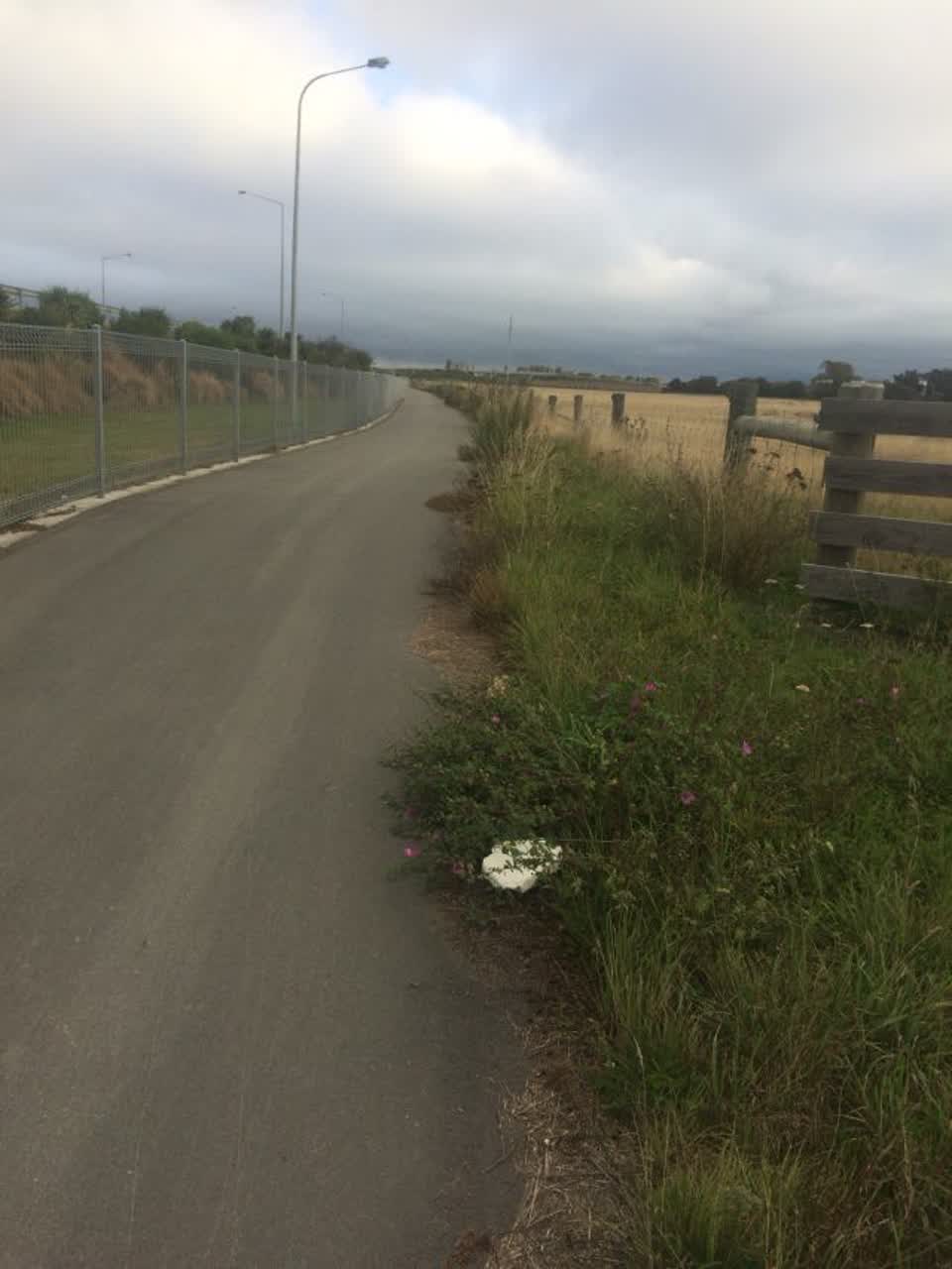 The photograph attached to this roading/streets report
