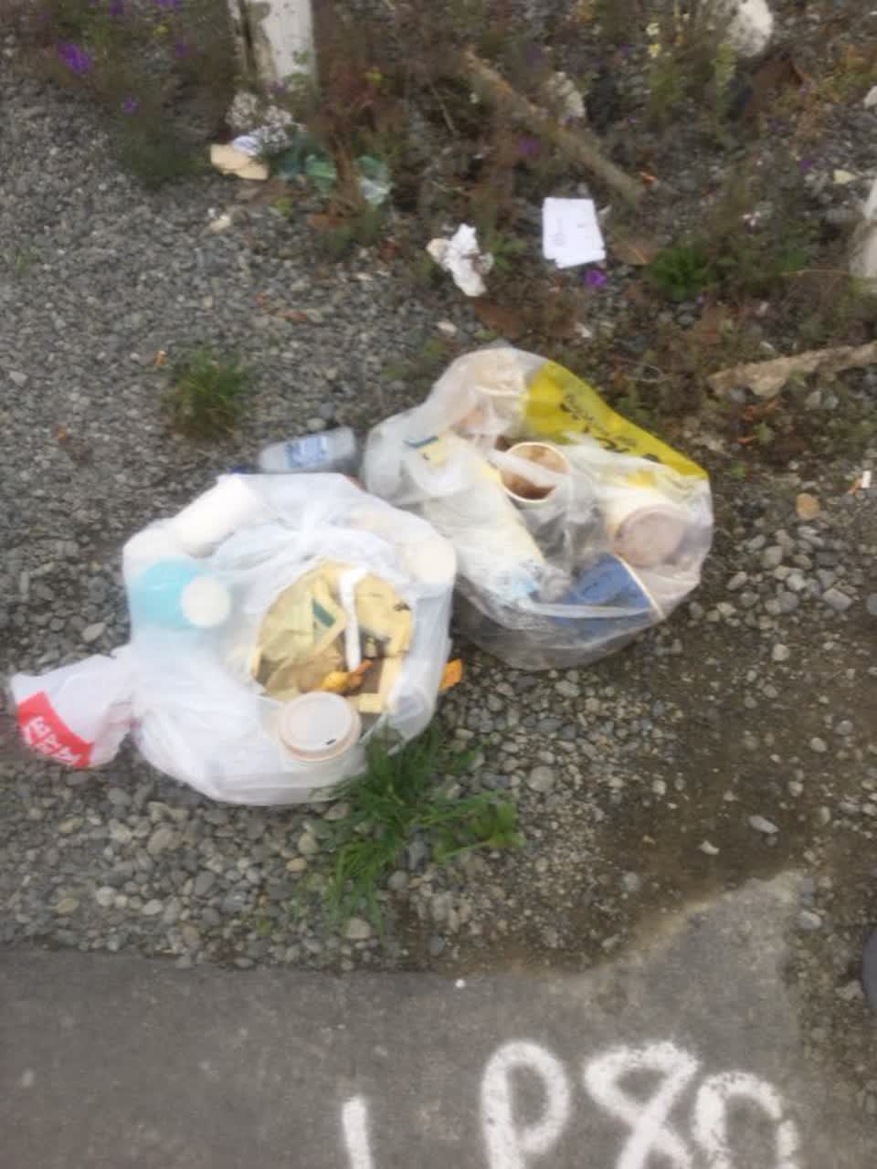 The photograph attached to this rubbish/recycling report