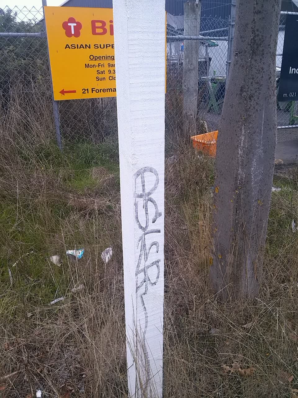 The photograph attached to this graffiti report