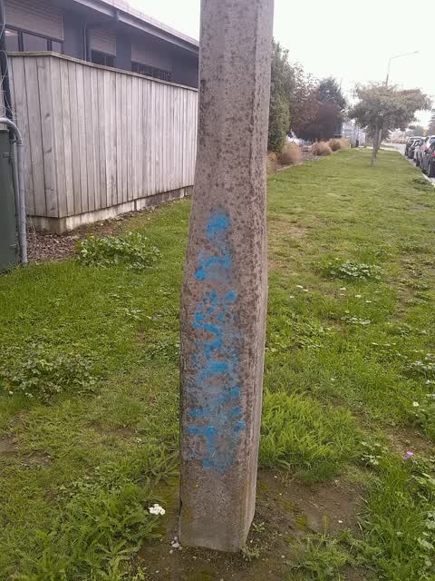 Graffiti, a report photo