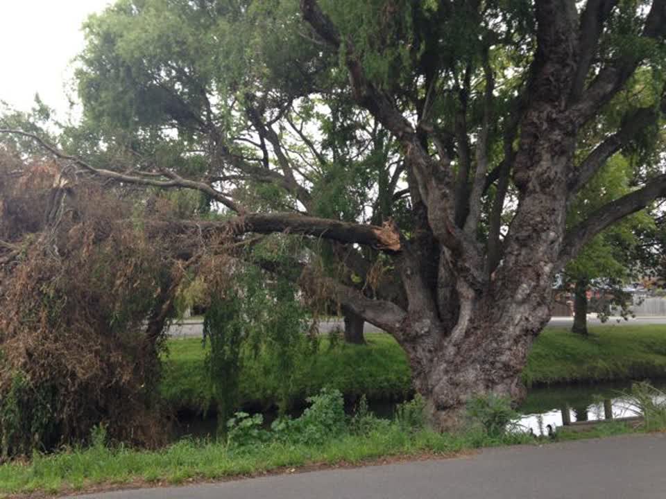The photograph attached to this parks report