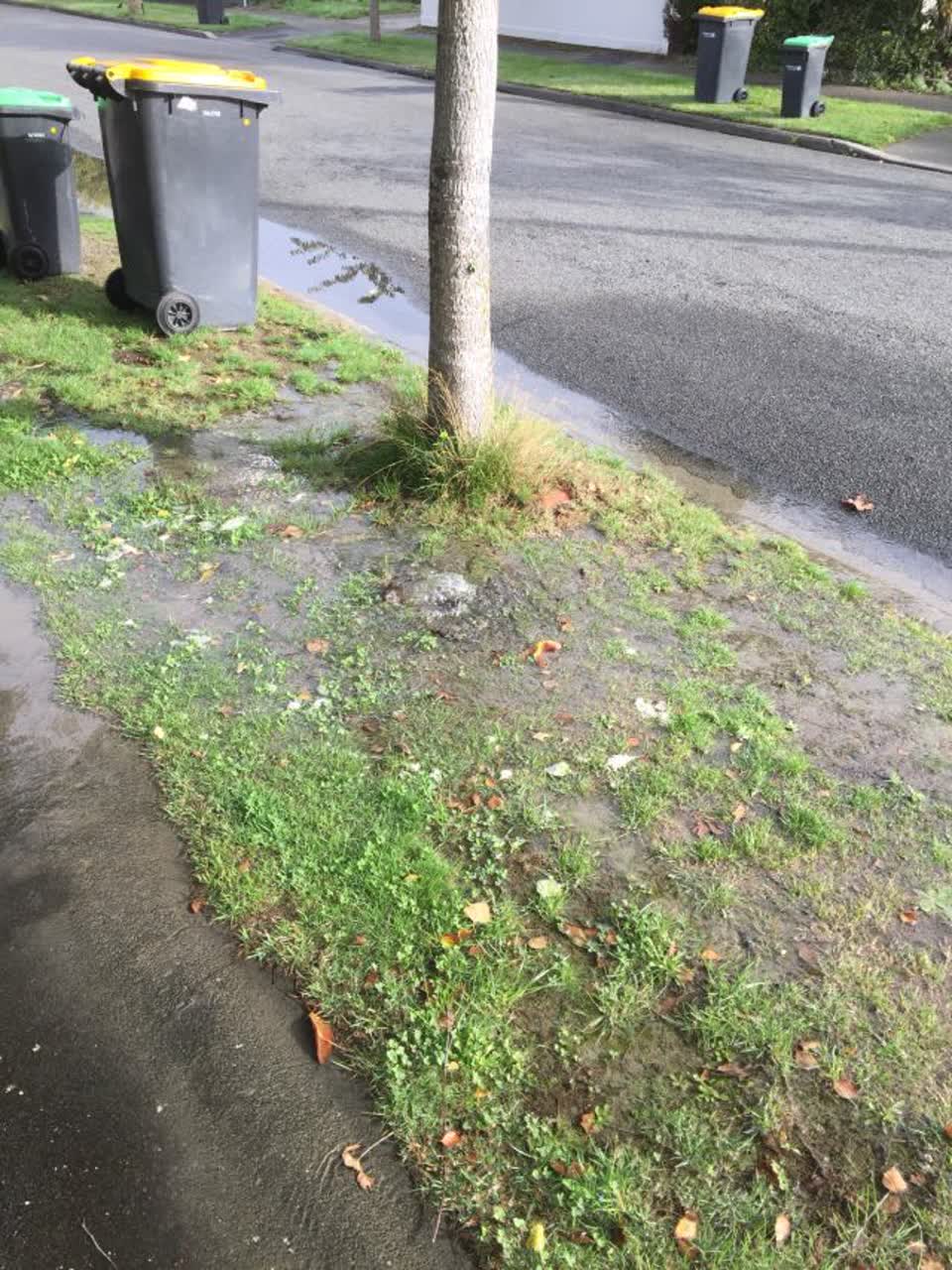 The photograph attached to this wastewater/stormwater report