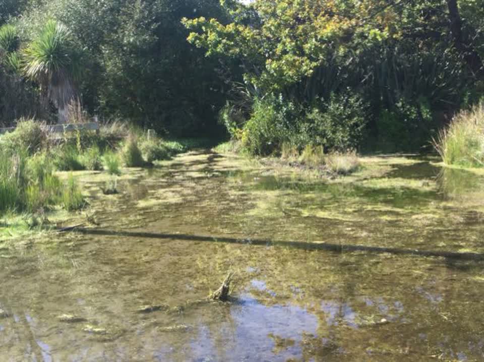 The photograph attached to this water supply report