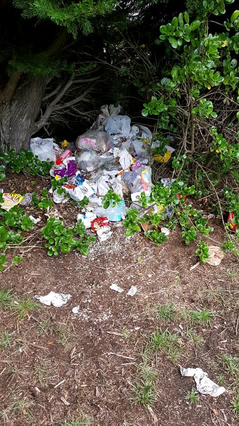 Rubbish/Recycling, a report photo