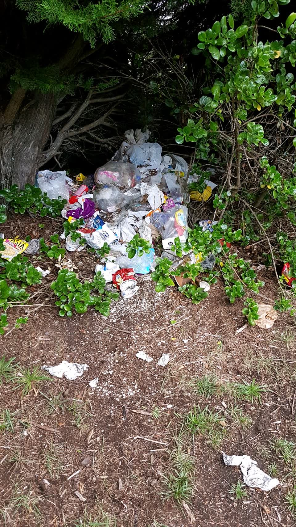 The photograph attached to this rubbish/recycling report