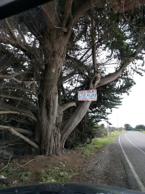 Parks, a report photo