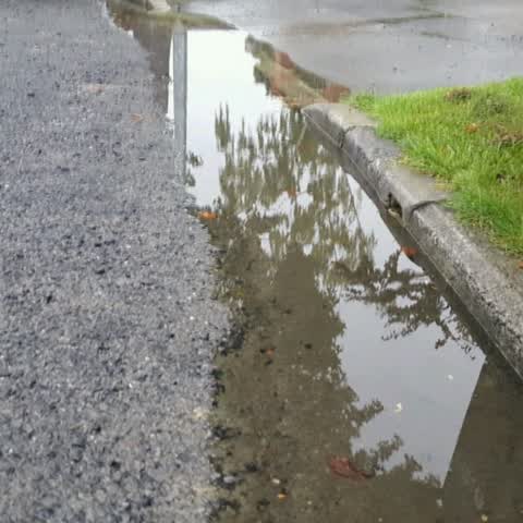 Wastewater/Stormwater, a report photo