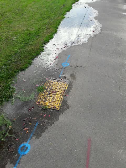 Wastewater/Stormwater, a report photo