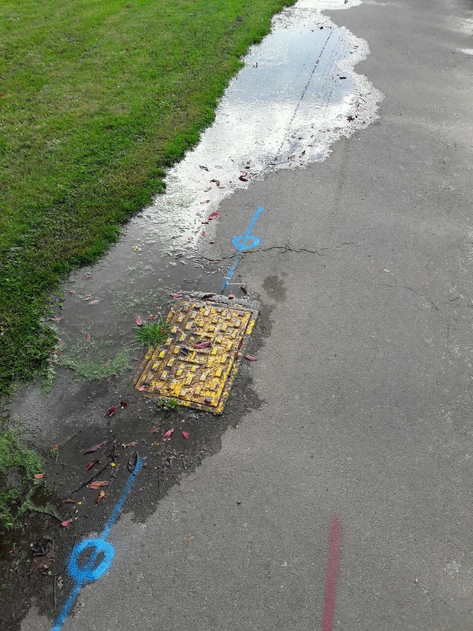 The photograph attached to this wastewater/stormwater report