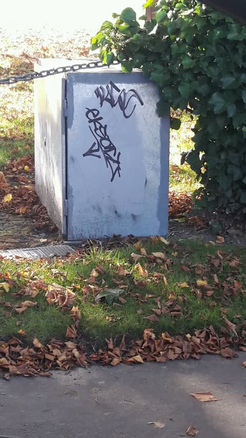 Graffiti, a report photo