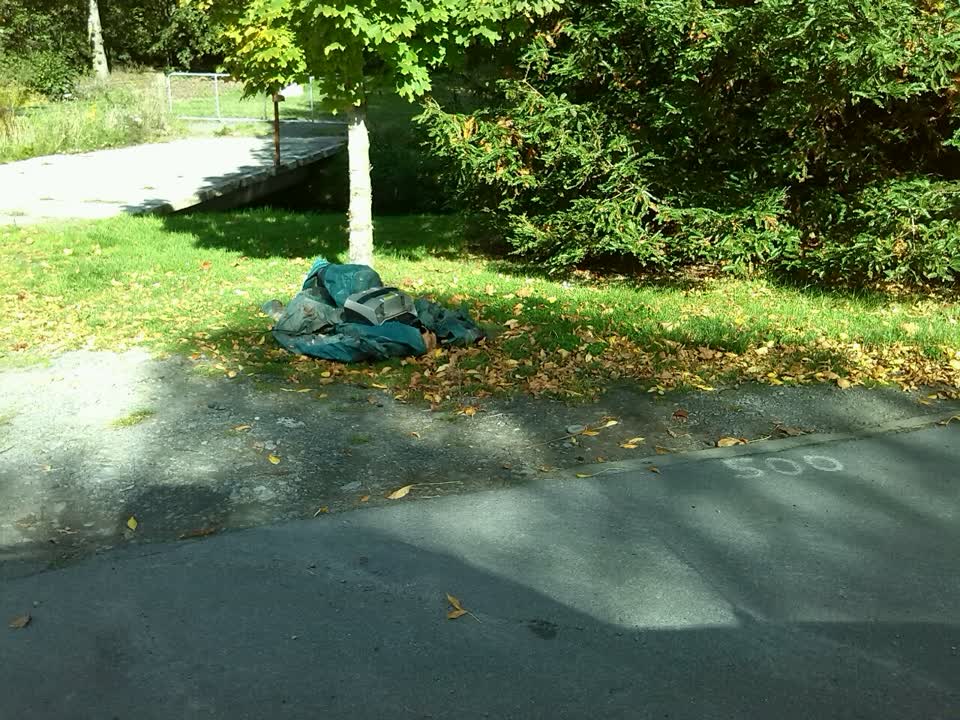 The photograph attached to this rubbish/recycling report