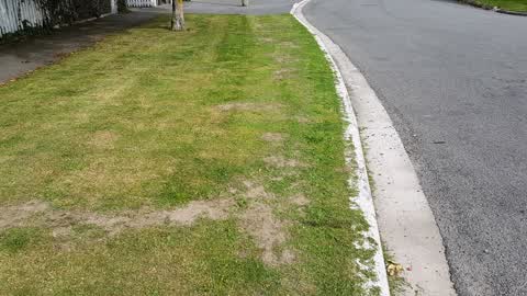 Roading/Streets, a report photo
