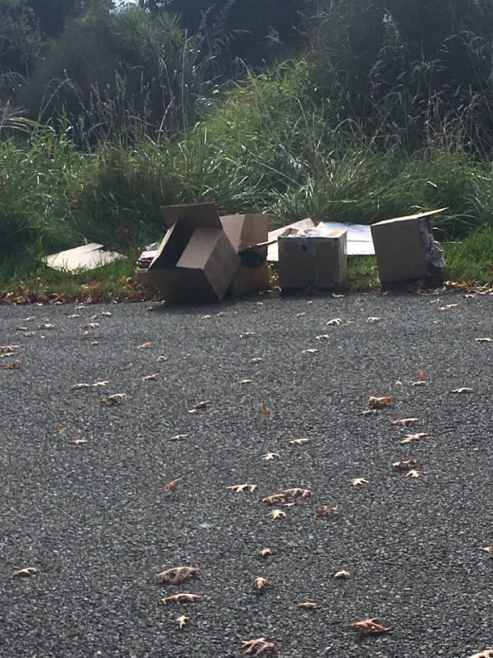The photograph attached to this rubbish/recycling report