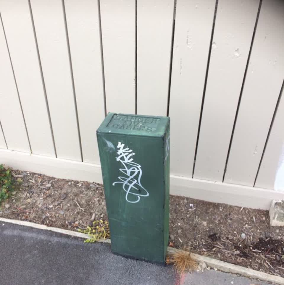 The photograph attached to this graffiti report