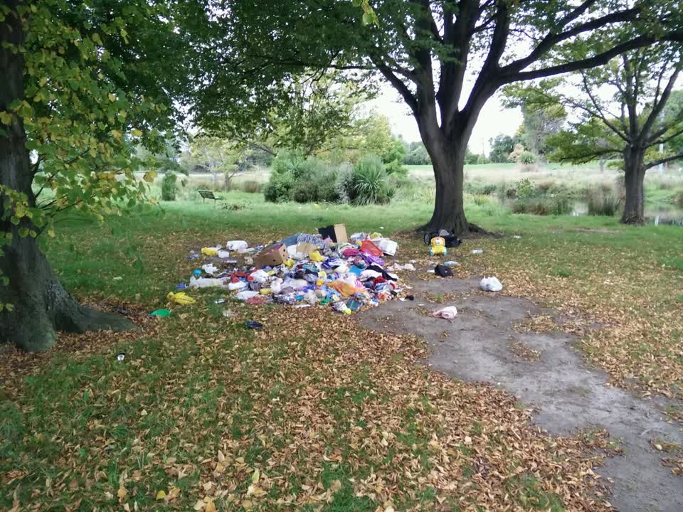 The photograph attached to this rubbish/recycling report