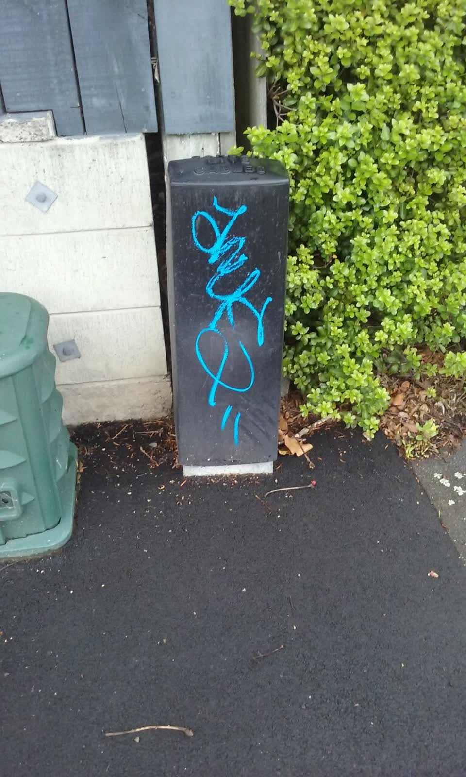 The photograph attached to this graffiti report