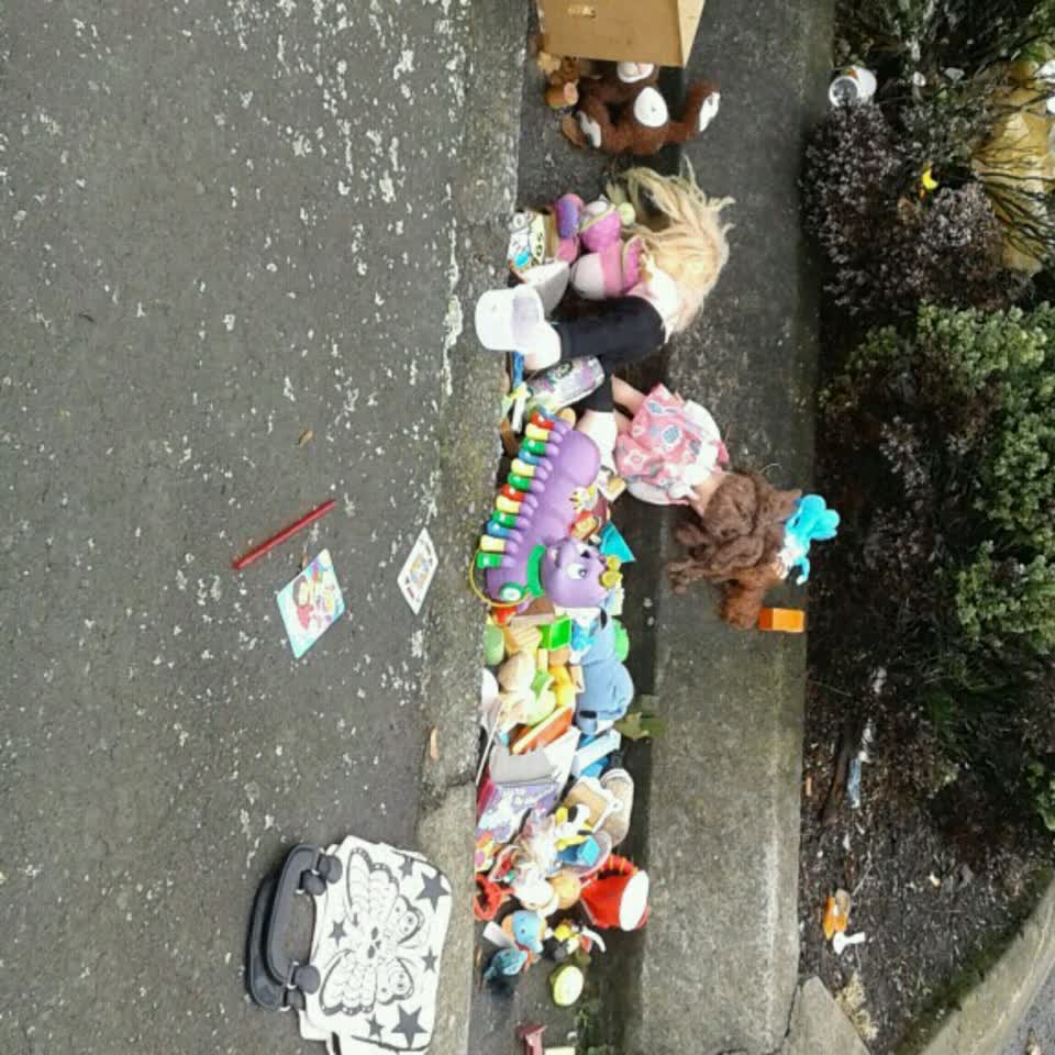The photograph attached to this rubbish/recycling report