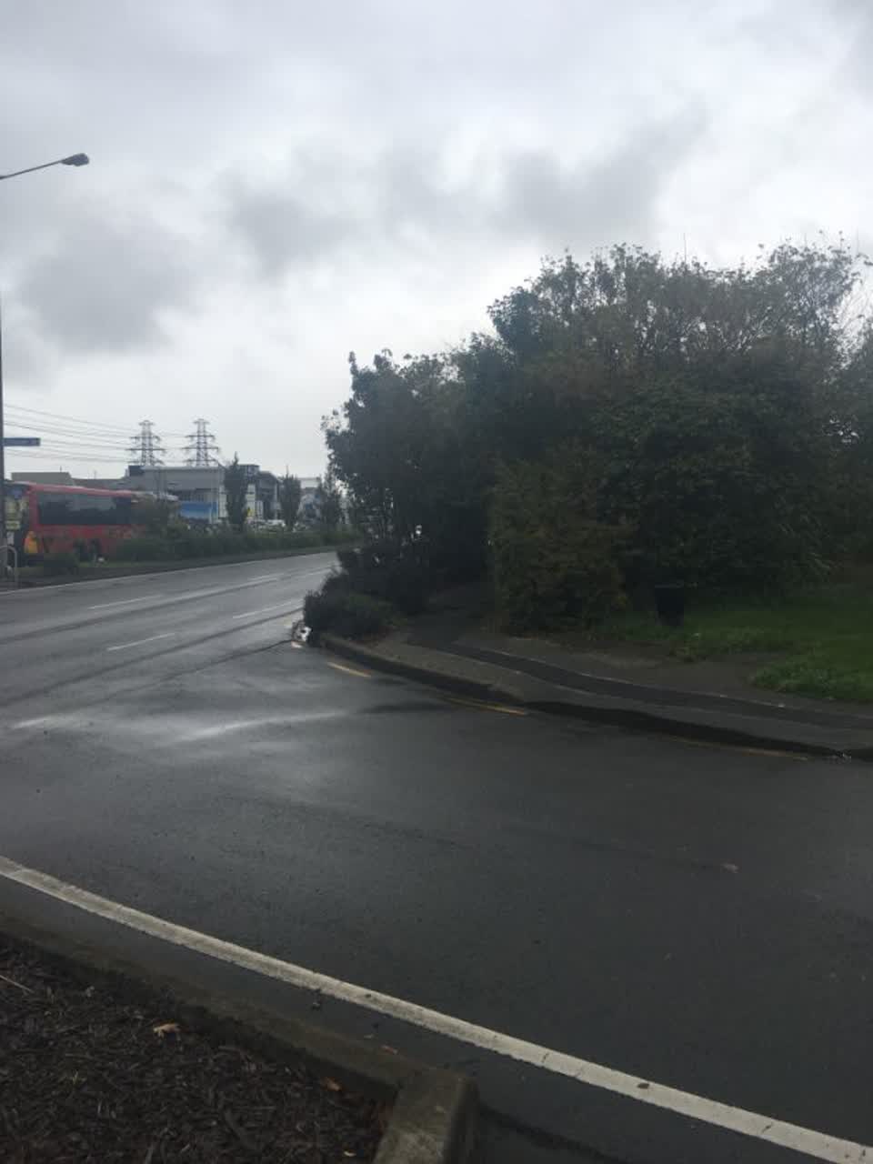 The photograph attached to this roading/streets report