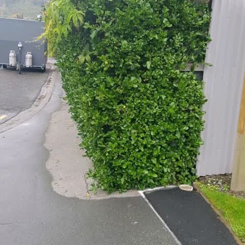 Roading/Streets, a report photo