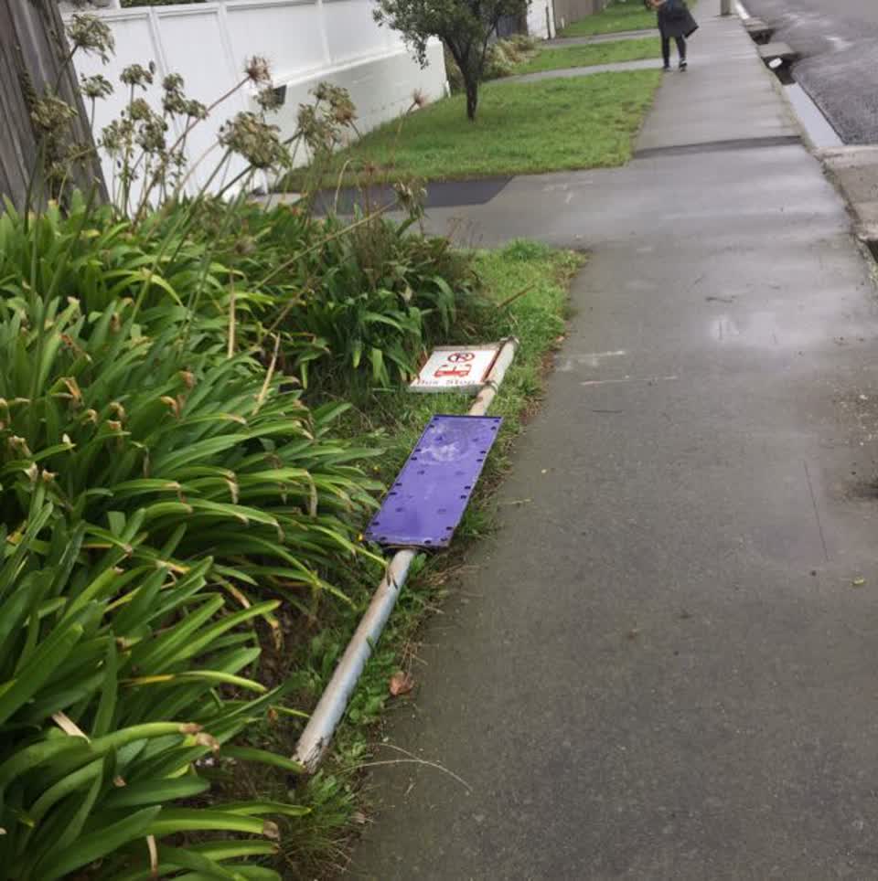 The photograph attached to this roading/streets report