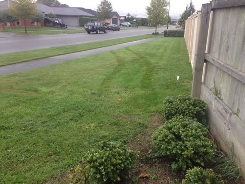 The photograph attached to this parks report