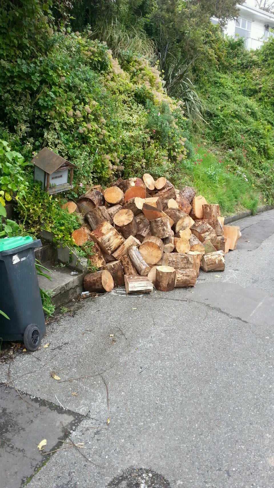 The photograph attached to this roading/streets report