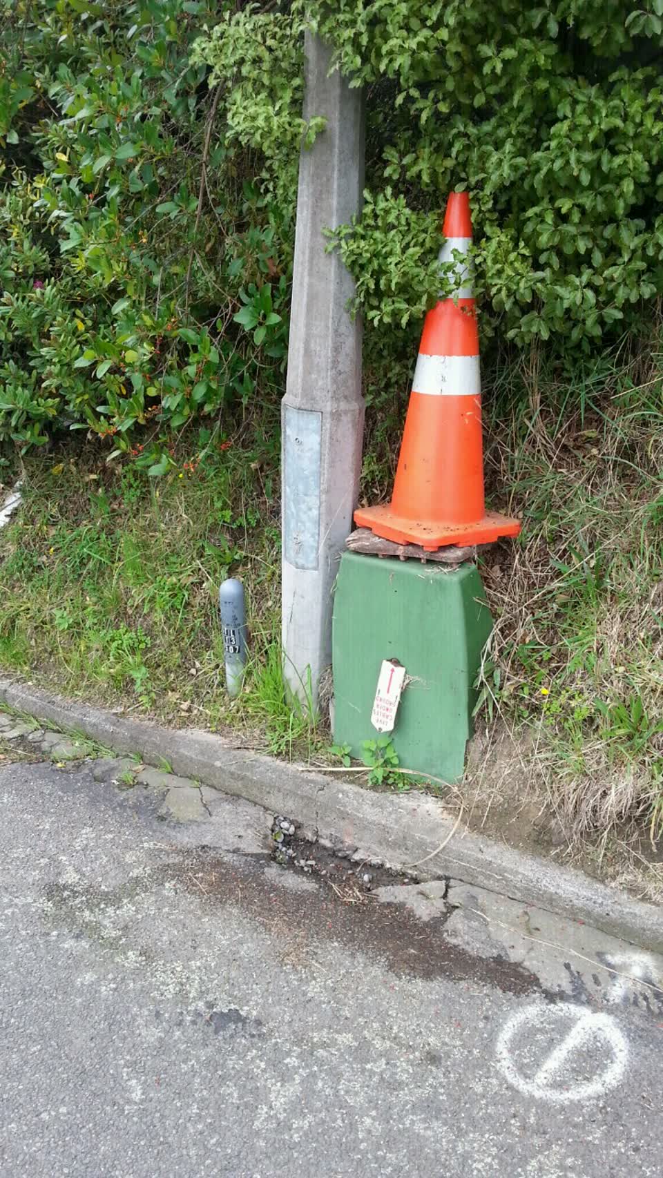 The photograph attached to this roading/streets report
