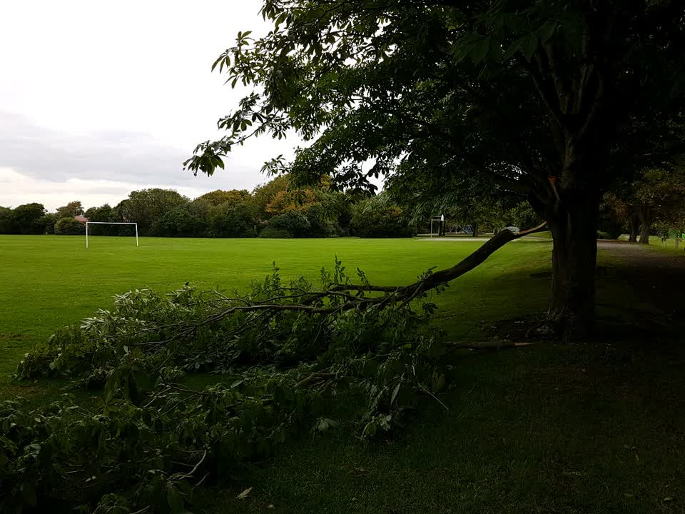 The photograph attached to this parks report