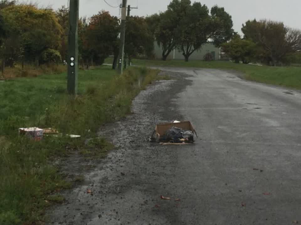 The photograph attached to this rubbish/recycling report