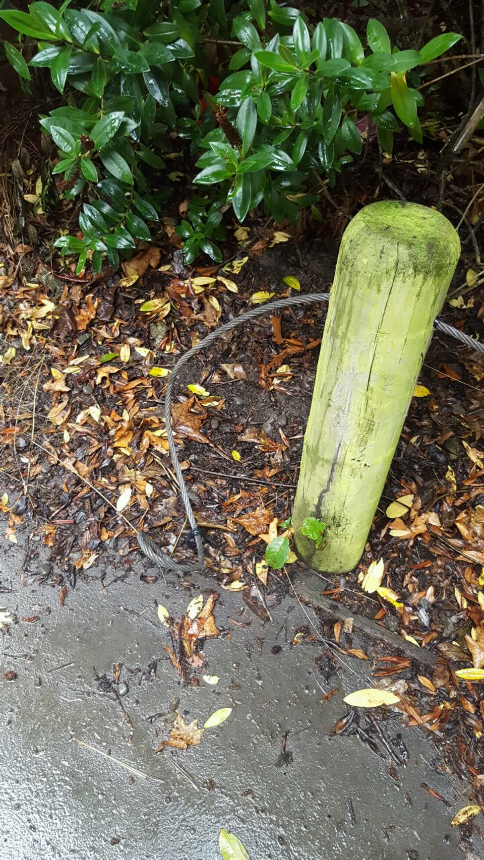The photograph attached to this parks report