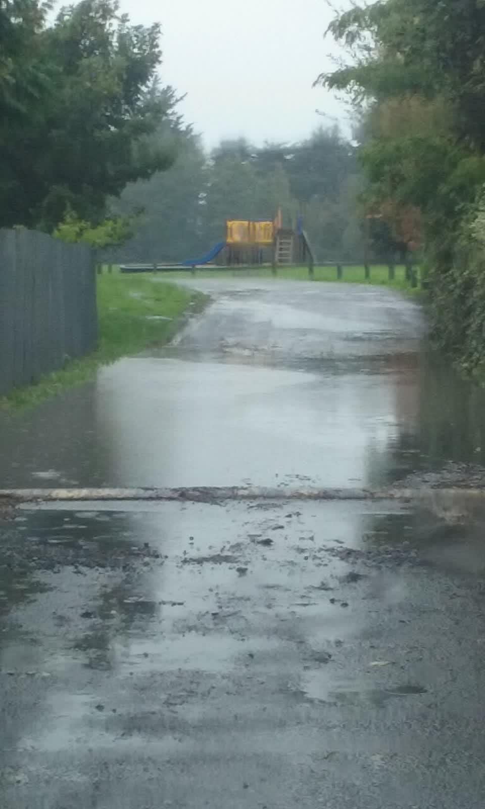 The photograph attached to this parks report