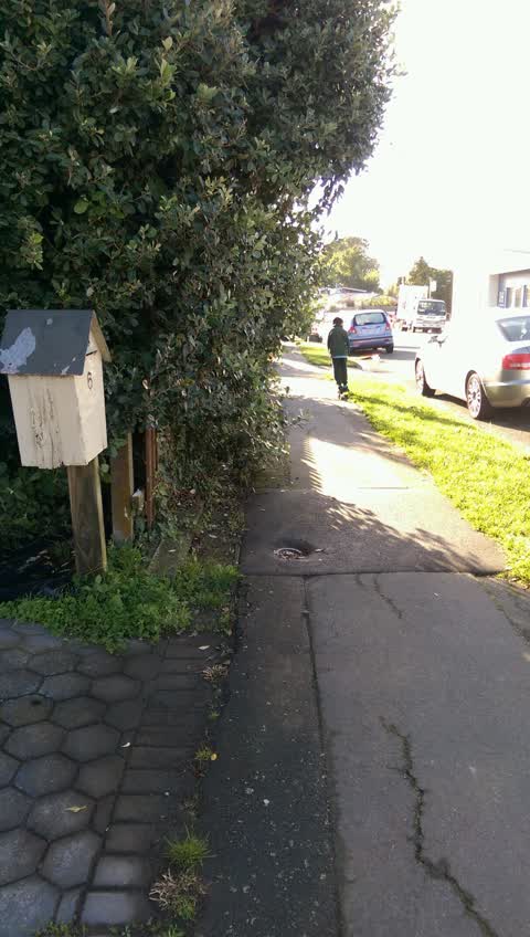 Roading/Streets, a report photo