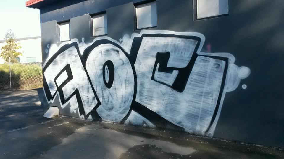 The photograph attached to this graffiti report