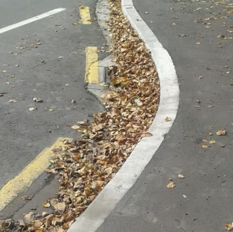 Wastewater/Stormwater, a report photo