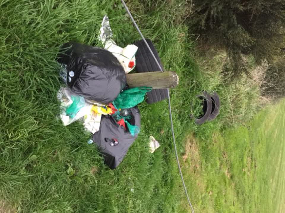 The photograph attached to this parks report