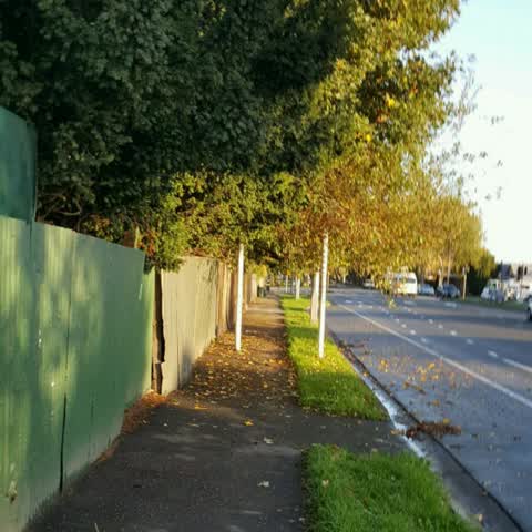 Roading/Streets, a report photo