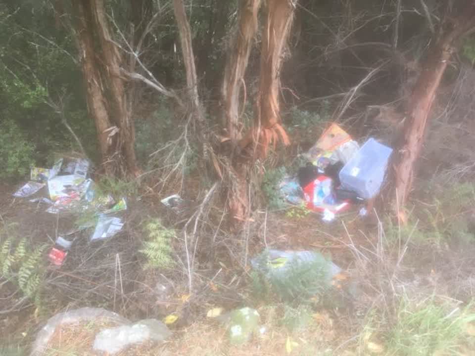 The photograph attached to this rubbish/recycling report