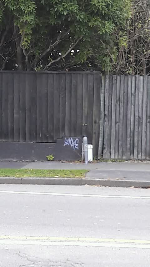 Graffiti, a report photo