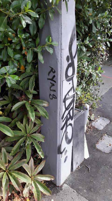 Graffiti, a report photo