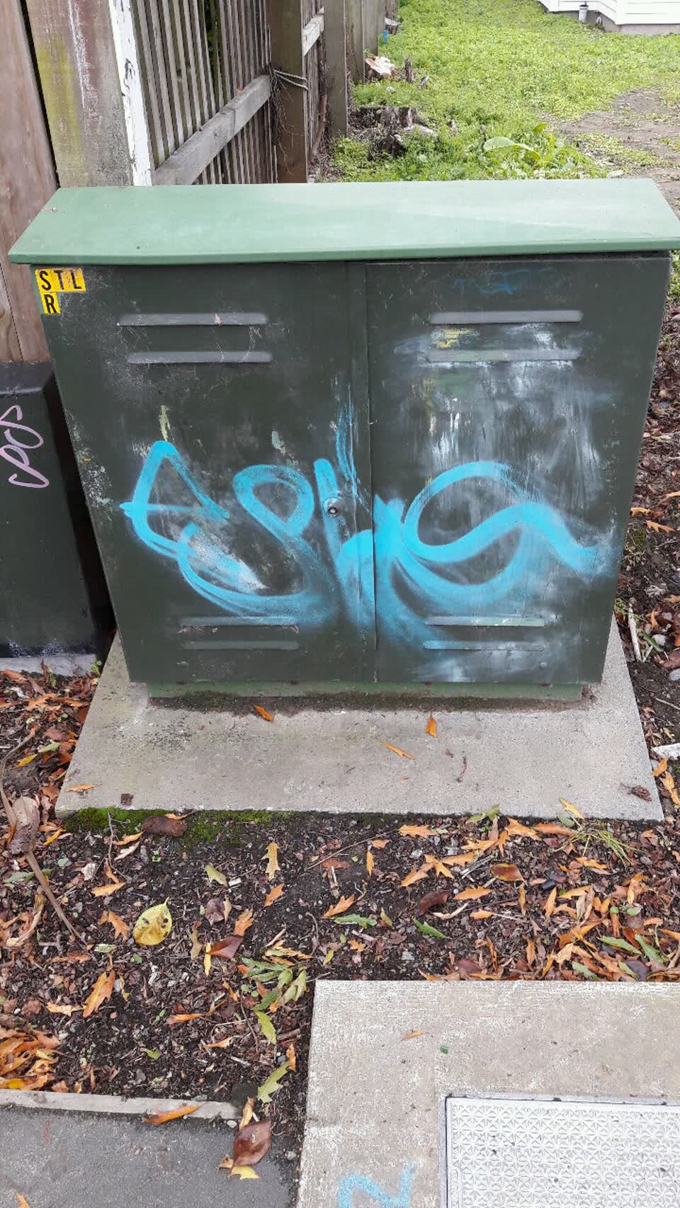 The photograph attached to this graffiti report