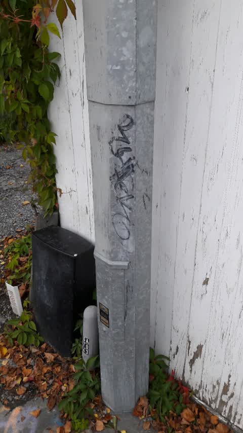 Graffiti, a report photo