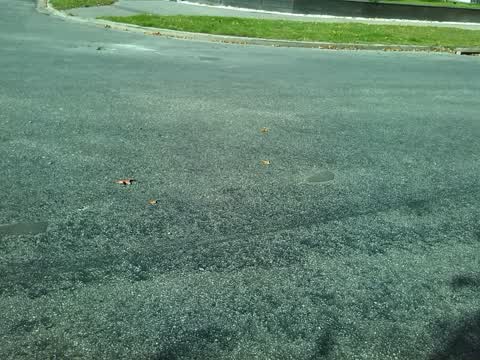 Roading/Streets, a report photo