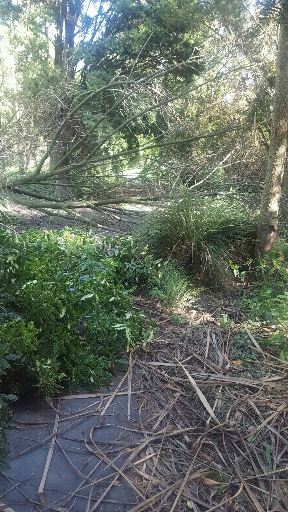 The photograph attached to this parks report