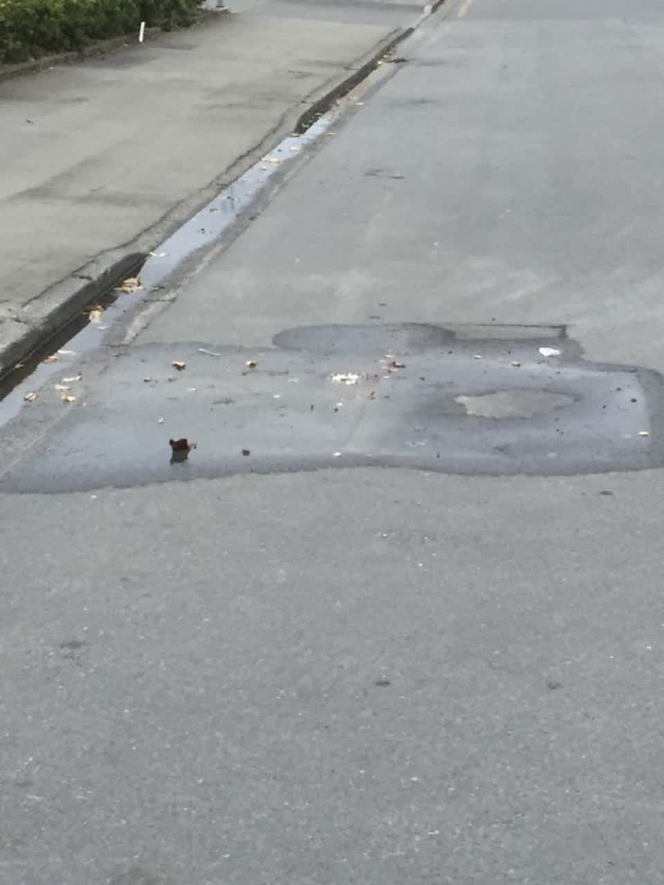 The photograph attached to this water supply report