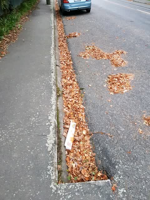 Roading/Streets — a report photo