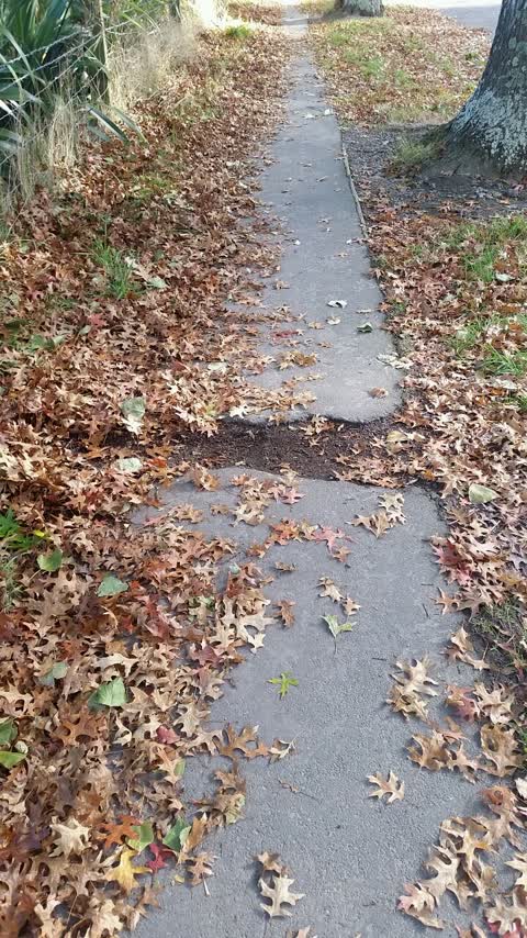 Roading/Streets, a report photo