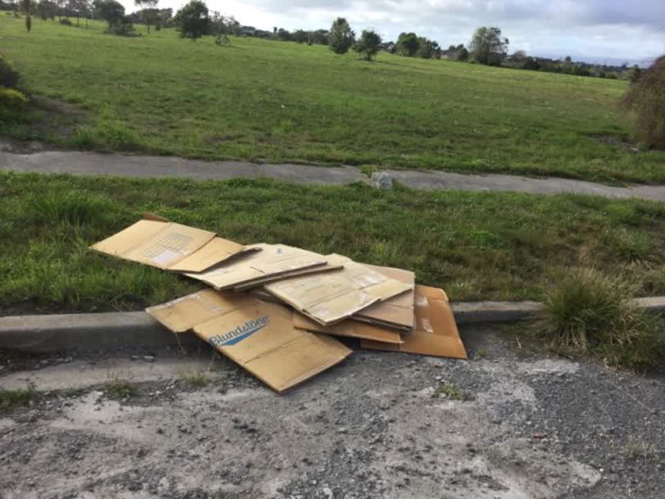 The photograph attached to this rubbish/recycling report